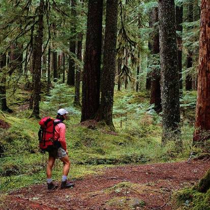 A Tourism Vision for The National Forest picture